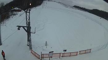 Ведмежа 30 січня 2019 року, 2019-01-30 13:00