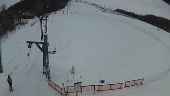 Ведмежа 3 лютого 2019 року, 2019-02-03 10:00