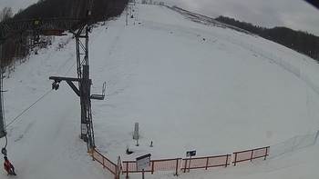 Ведмежа 8 лютого 2019 року, 2019-02-08 10:00