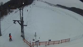 Ведмежа 9 лютого 2019 року, 2019-02-09 10:00