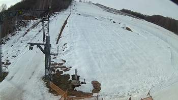 Ведмежа 1 березня 2019 року, 2019-03-01 10:00