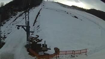 Ведмежа 1 березня 2019 року, 2019-03-01 16:00