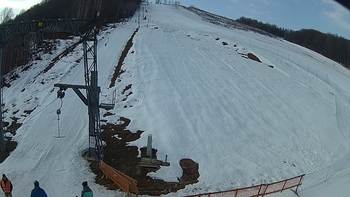 Ведмежа 3 березня 2019 року, 2019-03-03 10:00