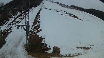 Ведмежа 5 березня 2019 року, 2019-03-05 10:00