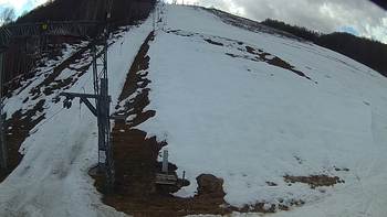 Ведмежа 5 березня 2019 року, 2019-03-05 13:00