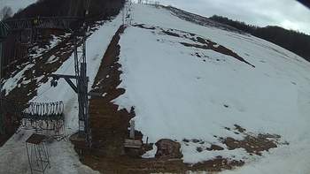 Ведмежа 7 березня 2019 року, 2019-03-07 13:00