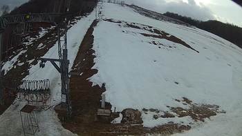 Ведмежа 7 березня 2019 року, 2019-03-07 16:00