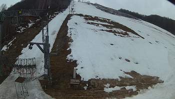 Ведмежа 8 березня 2019 року, 2019-03-08 13:00