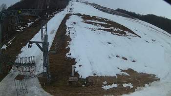 Ведмежа 8 березня 2019 року, 2019-03-08 16:00