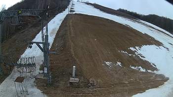 Ведмежа 11 березня 2019 року, 2019-03-11 13:00