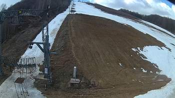 Ведмежа 12 березня 2019 року, 2019-03-12 10:00