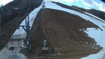 Ведмежа 12 березня 2019 року, 2019-03-12 13:00
