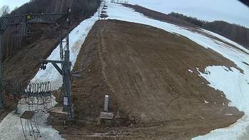 Ведмежа 13 березня 2019 року, 2019-03-13 10:00