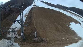 Ведмежа 15 березня 2019 року, 2019-03-15 13:00