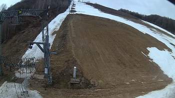 Ведмежа 16 березня 2019 року, 2019-03-16 10:00