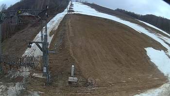 Ведмежа 17 березня 2019 року, 2019-03-17 13:00