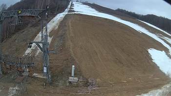 Ведмежа 18 березня 2019 року, 2019-03-18 13:00