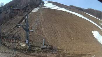 Ведмежа 21 березня 2019 року, 2019-03-21 10:00