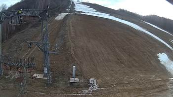 Ведмежа 21 березня 2019 року, 2019-03-21 16:00