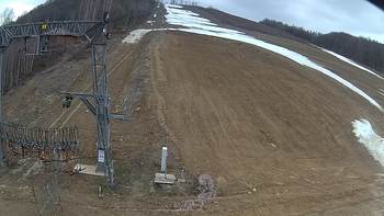 Ведмежа 22 березня 2019 року, 2019-03-22 13:00