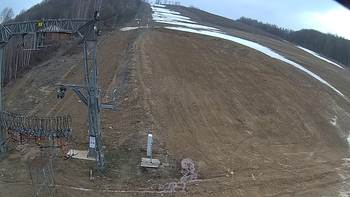 Ведмежа 24 березня 2019 року, 2019-03-24 16:00