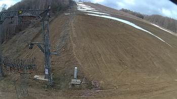 Ведмежа 26 березня 2019 року, 2019-03-26 10:00
