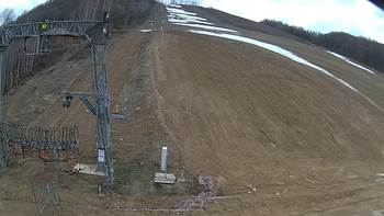 Ведмежа 26 березня 2019 року, 2019-03-26 13:00