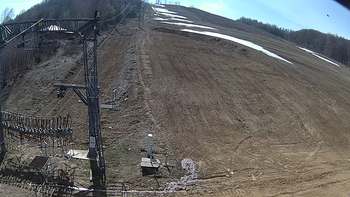 Ведмежа 29 березня 2019 року, 2019-03-29 13:00