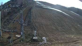 Ведмежа 29 березня 2019 року, 2019-03-29 16:00