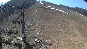 Ведмежа 31 березня 2019 року, 2019-03-31 13:00