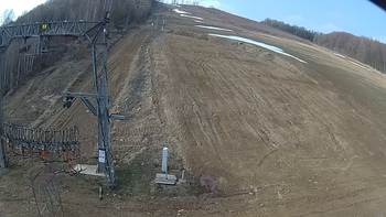 Ведмежа 1 квітня 2019 року, 2019-04-01 10:00