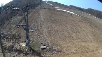 Ведмежа 1 квітня 2019 року, 2019-04-01 13:00