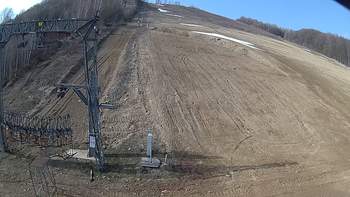 Ведмежа 2 квітня 2019 року, 2019-04-02 10:00