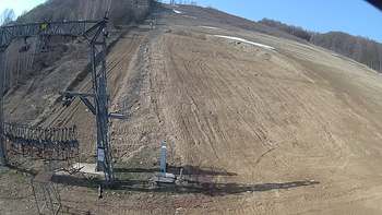 Ведмежа 3 квітня 2019 року, 2019-04-03 10:00