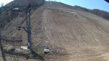 Ведмежа 5 квітня 2019 року, 2019-04-05 13:00