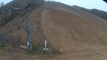 Ведмежа 7 квітня 2019 року, 2019-04-07 10:00