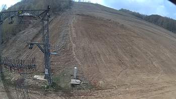 Ведмежа 7 квітня 2019 року, 2019-04-07 13:00