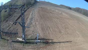 Ведмежа 8 квітня 2019 року, 2019-04-08 10:00