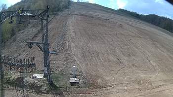 Ведмежа 8 квітня 2019 року, 2019-04-08 13:00