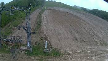 Ведмежа 5 травня 2019 року, 2019-05-05 10:00