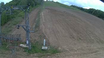 Ведмежа 8 травня 2019 року, 2019-05-08 13:00