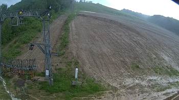 Ведмежа 29 травня 2019 року, 2019-05-29 13:00