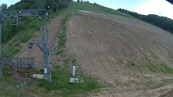 Ведмежа 2 червня 2019 року, 2019-06-02 13:00