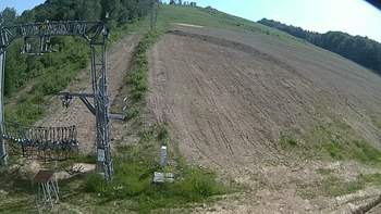 Ведмежа 14 червня 2019 року, 2019-06-14 16:00