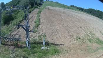Ведмежа 15 червня 2019 року, 2019-06-15 10:00
