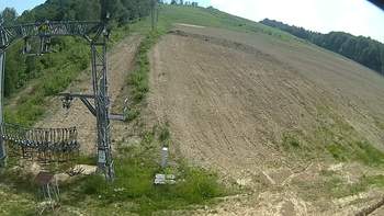 Ведмежа 16 червня 2019 року, 2019-06-16 16:00