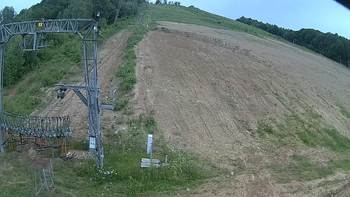 Ведмежа 22 червня 2019 року, 2019-06-22 16:00
