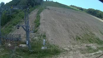 Ведмежа 25 червня 2019 року, 2019-06-25 13:00