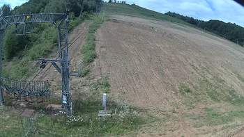 Ведмежа 6 липня 2019 року, 2019-07-06 10:00