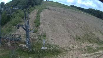 Ведмежа 13 липня 2019 року, 2019-07-13 13:00